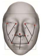 facial keypoints