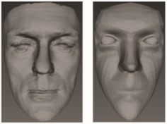 face reconstruction