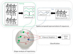 shape trajectories