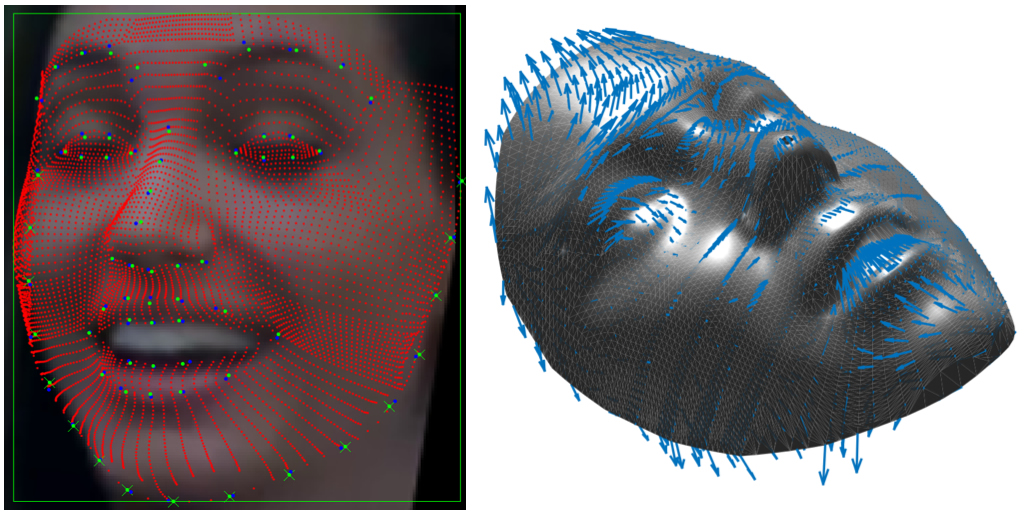 Example of a fitting result (left) and the average 3D model with associated deformation directions (right)